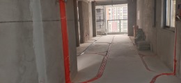 岁金时代