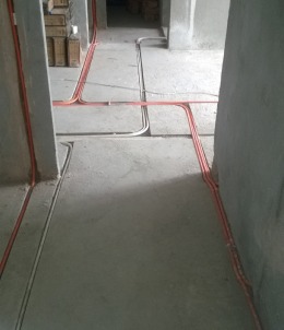 中海阳光玫瑰园