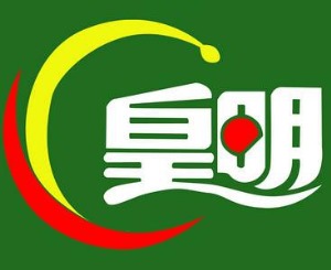 公司介绍