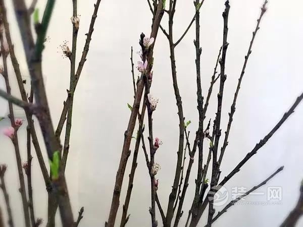 装修后