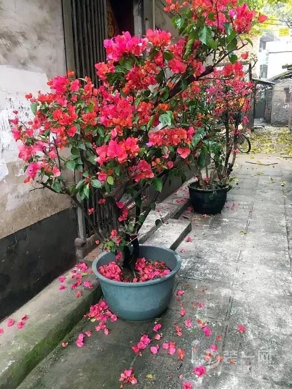 装修后